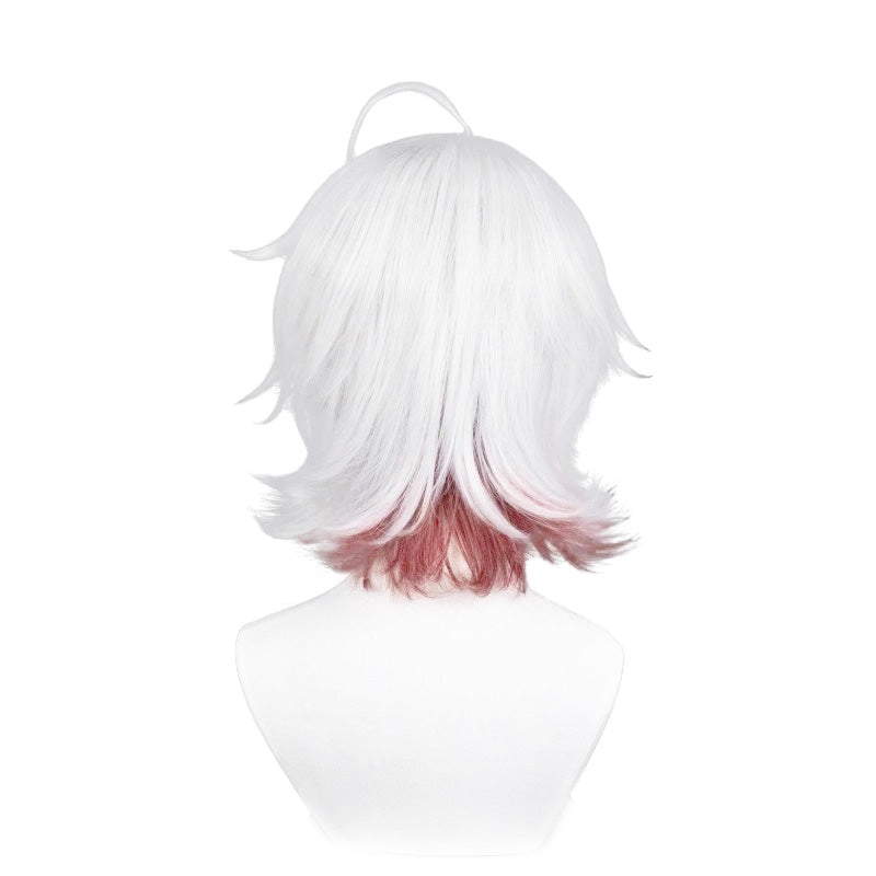 SAKUMETA PATIENT/ EMIL/RARE CASE Burgundy and White Gradient Mixed Color Cosplay Wig