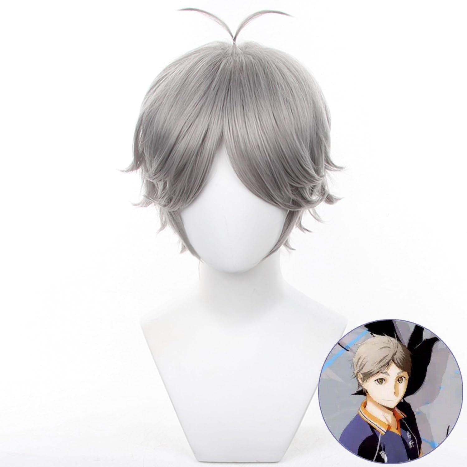 SAKUMETA SUGAWARA KOUSHI Gray Cosplay Wig with Short Hair